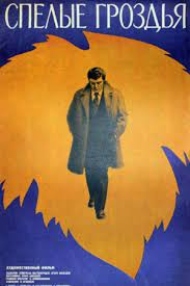 აკაკი ბაქრაძის საზოგადოება