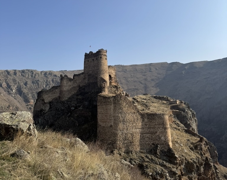 აკაკი ბაქრაძის საზოგადოება